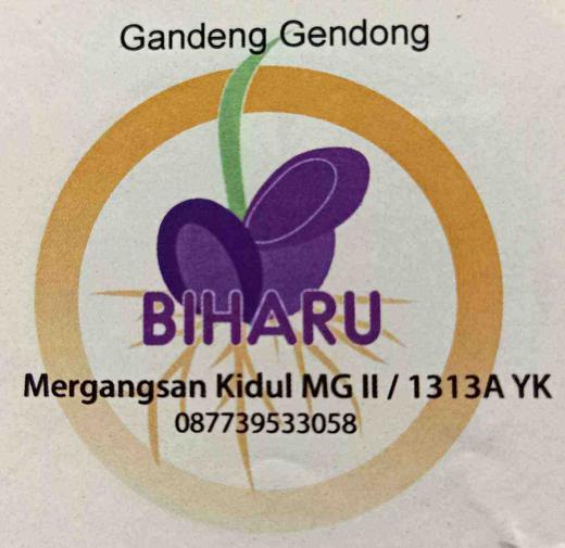 Biharu Snack-Nasi Box Telah Merasakan Manfaat Program Gandeng Gendong