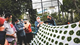 Penerimaan Tamu Dinas PPKB Kabupaten Gorontalo di Kampung Bintaran Wirogunan